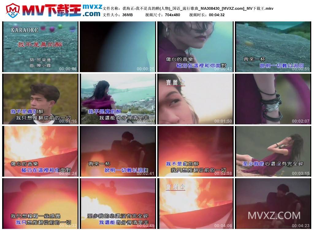 裘海正-我不是真的醉(人物)_国语_流行歌曲_MA308430